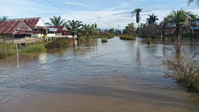Banjir dan Longsor Melanda Jawa, Sumatera, Kalimantan, Sulawesi pada Akhir Januari